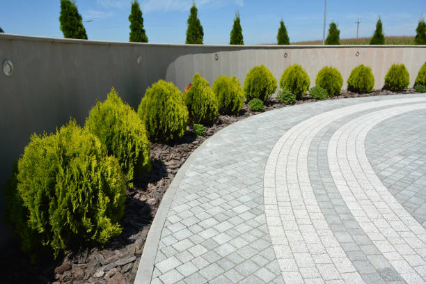 Reasons to Select Us for Your Driveway Paving Requirements in Wyndmoor, PA